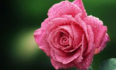 吸引人的女装店名字大全 女装店取什么名字招财