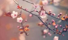 2020年农历闰四月廿三出生（属鼠）女孩起名字简析！