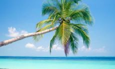 朗朗上口的小超市名字 好听的小型超市名字大全