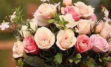 能通过自己的兴趣来赚钱生活的星座