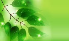 必火的男装店名字 男装店名好听又旺财