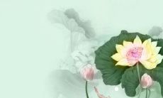 好听又顺口的淘宝昵称 淘宝名字简单大方