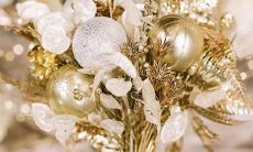 看着高冷其实很八卦的星座