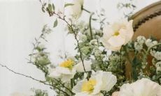 1986年7月26是什么星座的