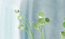 给小孩取小名乳名有什么忌讳