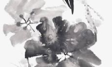 取名宝典免费2022