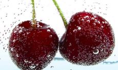 水瓶座是什么命 几号出生的水瓶座最笨