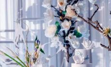 12月17的上升星座