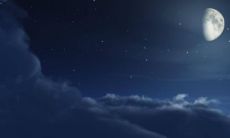 8月14号是什么星座 狮子座与什么星座最配