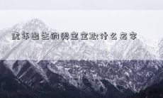 虎年出生的男宝宝取什么名字