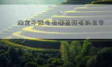 淘宝子账号有哪些好听的名字