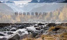 设计名片名字大全