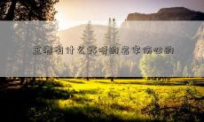 王者有什么好听的名字伤心的