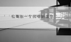 公司取一个好听的名字