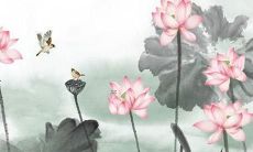 达字五行属什么 带达字好听的男孩女孩名字