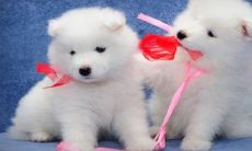 慈字取名好不好