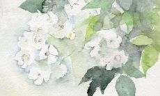 虎宝宝起名带什么字旁好