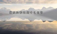 属虎的男生起什么名字