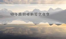 狮子座好听的英文名字