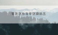 帮宝宝取名字男孩姓王