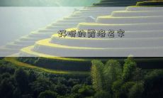 好听的霞洛名字