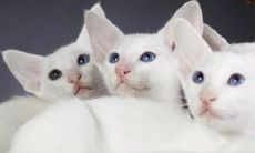 美发店店铺名字 取什么名字好