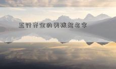 五行齐全的男孩起名字