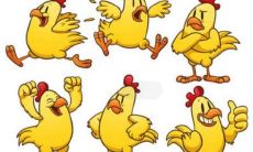 2017年属于什么年 2017年是属什么生肖