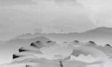 戌时出生属狗女2022年运势