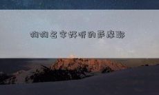 狗狗名字好听的萨摩耶