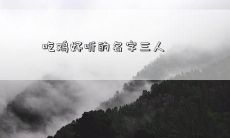 吃鸡好听的名字三人