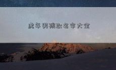 虎年男孩取名字大全