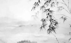 姓莫名字缺金女孩怎么取