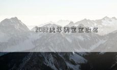 2022虎年男宝宝取名
