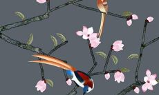 属龙的2022年运势方位