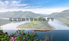 英雄联盟女警的好听名字