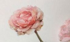 曾姓女孩虎年名字大全