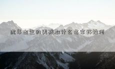 虎年出生的男孩取什么名字好姓何