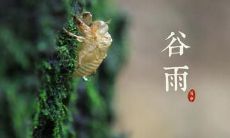 2020年谷雨出生（白羊座五行缺水）女孩起名字！