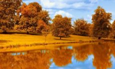 梦见道路泥泞,但自己还是过去了 梦见道路泥泞不堪是什么意思