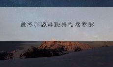 虎年男孩子取什么名字好