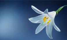 属于00后的非主流网名