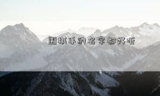 围棋手的名字都好听