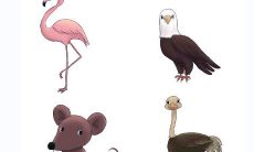 妩在名字中的寓意