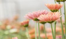 名字里带有超的名字