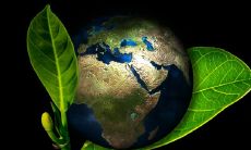 做梦梦见别人死了是什么寓意