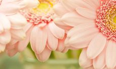 2016最新微信名两个字好听的昵称