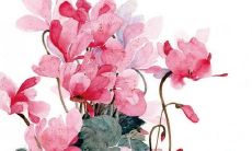 姓韦女孩名字带琪字的