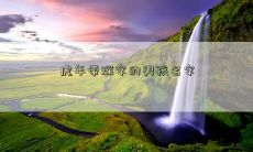 虎年带琛字的男孩名字