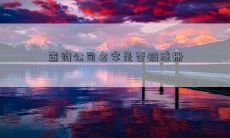 查询公司名字是否被注册